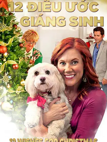 Phim 12 Điều Ước Giáng Sinh - 12 Wishes For Christmas (2011)