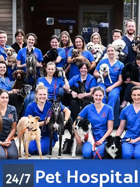  24/7 Pet Hospital (2023)