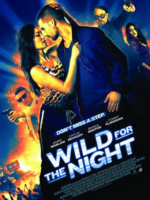 Phim 48 Giờ Sinh Tử - 48 Hours To Live - Wild For The Night (2017)