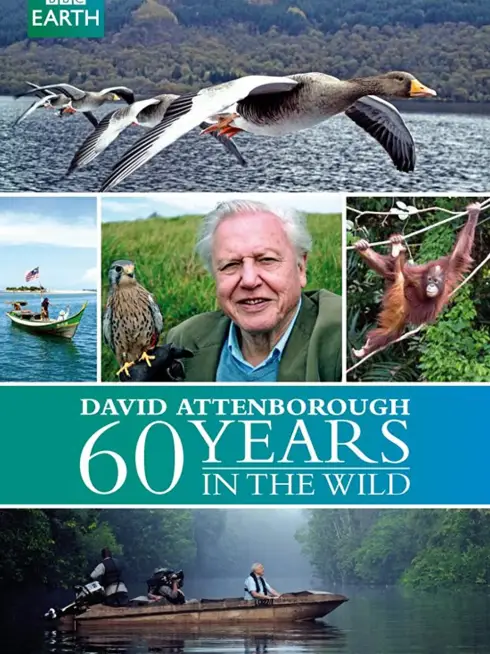 Phim 60 Năm Trong Hoang Dã - Attenborough: 60 Years In The Wild (2012)