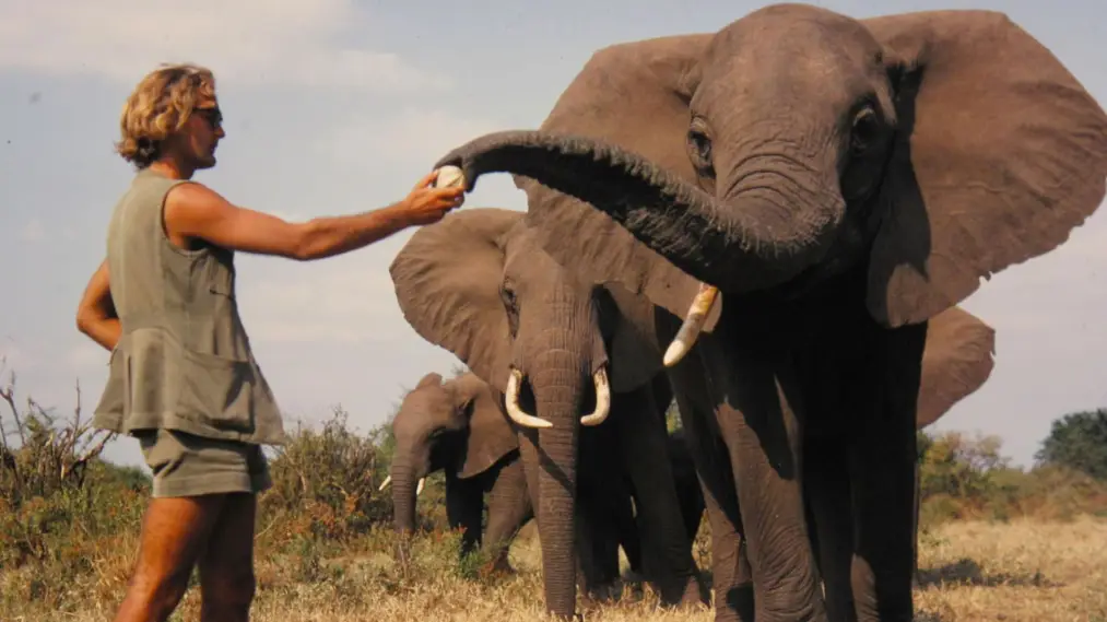 Phim A Life Among Elephants - A Life Among Elephants (2024)