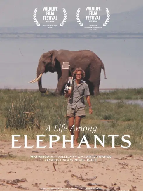  A Life Among Elephants (2024)