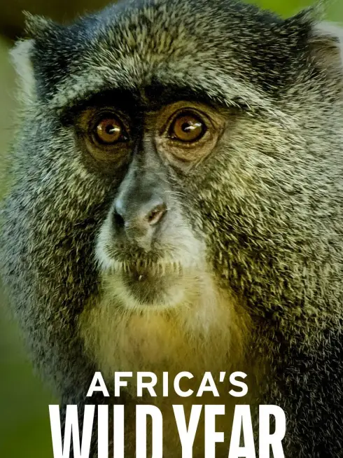 Africa's Wild Year