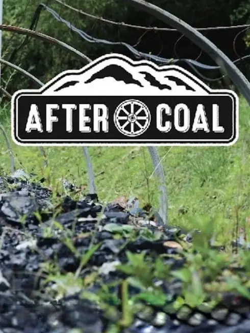  After Coal: Welsh and Appalachian Mining Communities (2016)