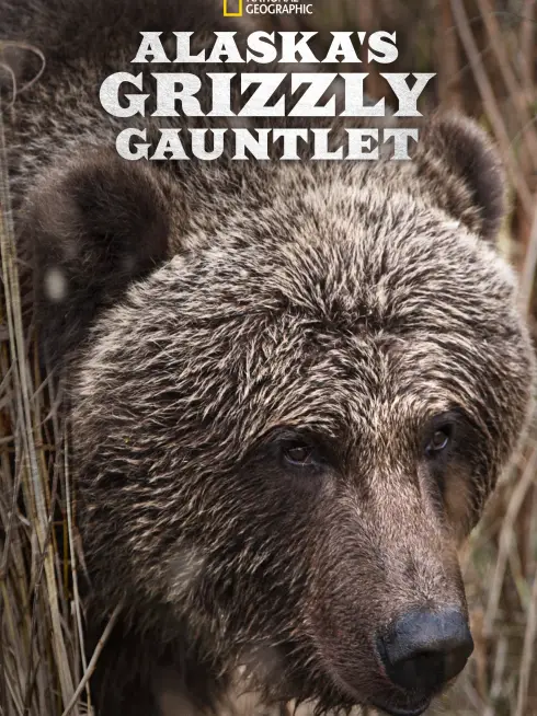  Alaska's Grizzly Gauntlet (2018)