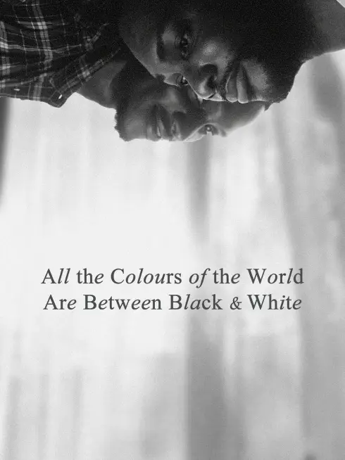 All the Colours of the World Are Between Black and White