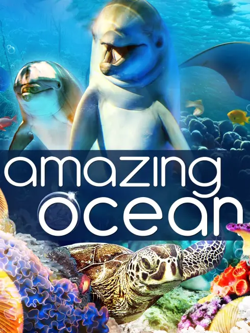 Amazing Ocean 3D