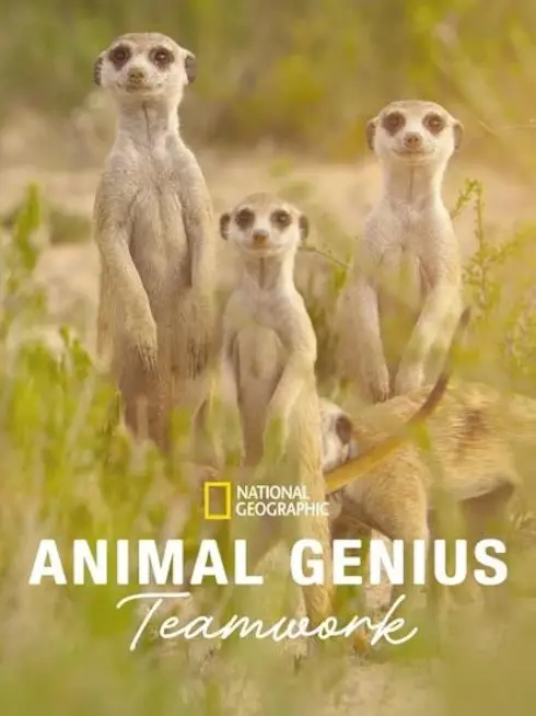  Animal Genius (2024)