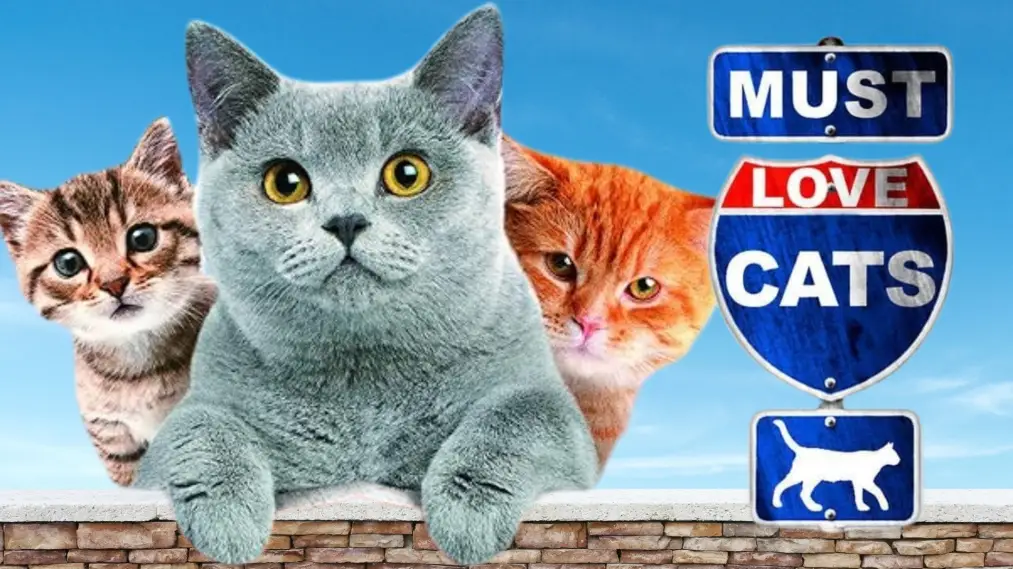 Phim Animal Planet: Must Love Cats - Animal Planet: Must Love Cats (2011)
