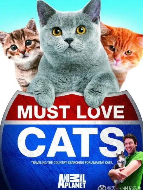 Animal Planet: Must Love Cats
