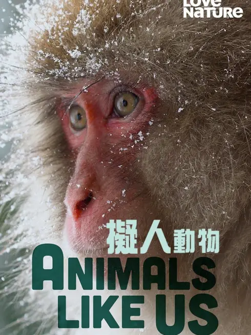  Animals Like Us (2024)