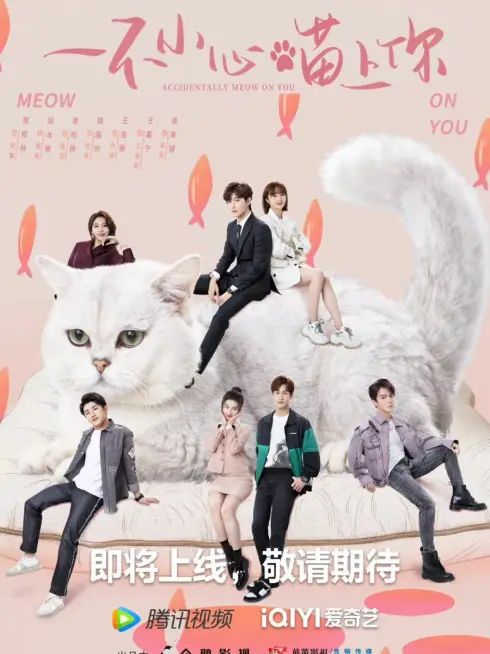 Phim Bất Cẩn Meow Phải Anh - Accidentally Meow On You (2022)