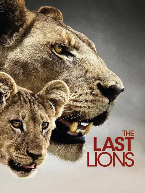 Phim Bầy Sư Tử Cuối Cùng - The Last Lions (2011)
