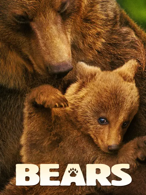 Phim Bears - Bears (2014)