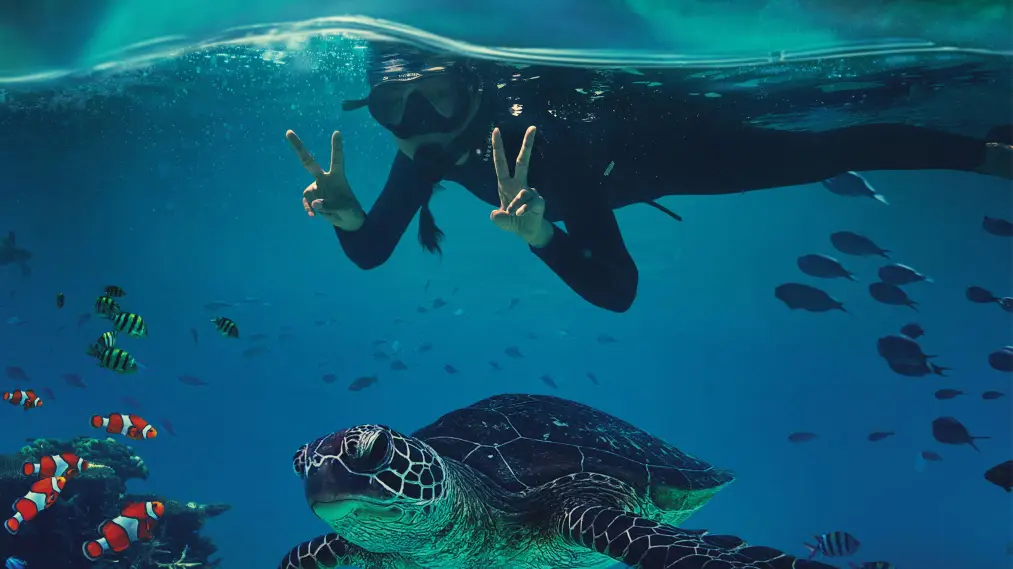 Phim Beyond the Reef - Beyond the Reef (2022)