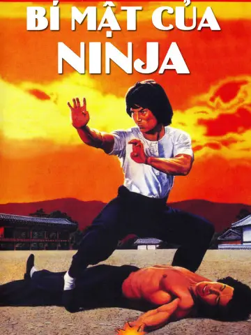 Phim Bí Mật Của Ninja - Ninja Knight 2: Roaring Tiger (1982)