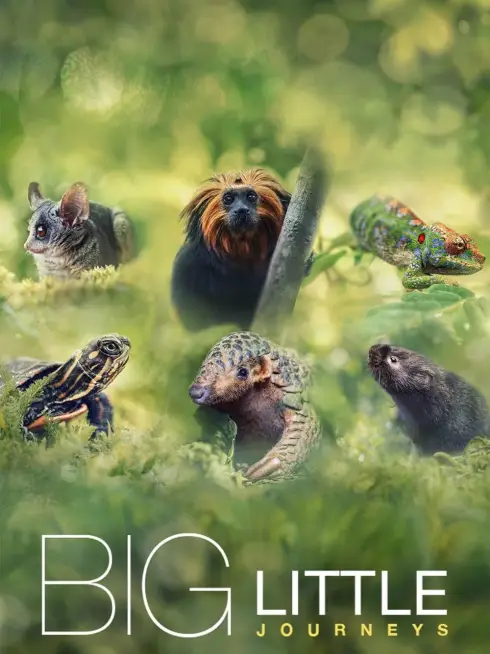  Big Little Journeys (2023)