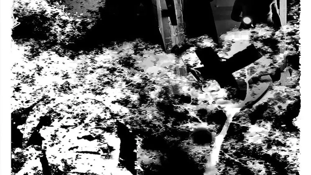 Phim Black Lizard Tales - Black Lizard Tales (2020)