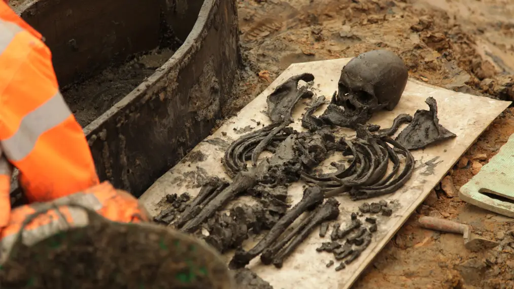 Phim Britain's Biggest Dig - Britain's Biggest Dig (2020)