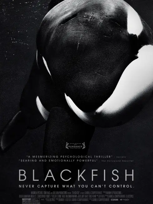 Phim Cá đen - Blackfish (2013)