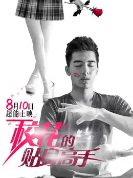 Phim Cao Thủ Cận Vệ Của Hoa Khôi - Mr. Bodyguard (2015)
