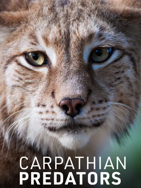 Carpathian Predators (2019)