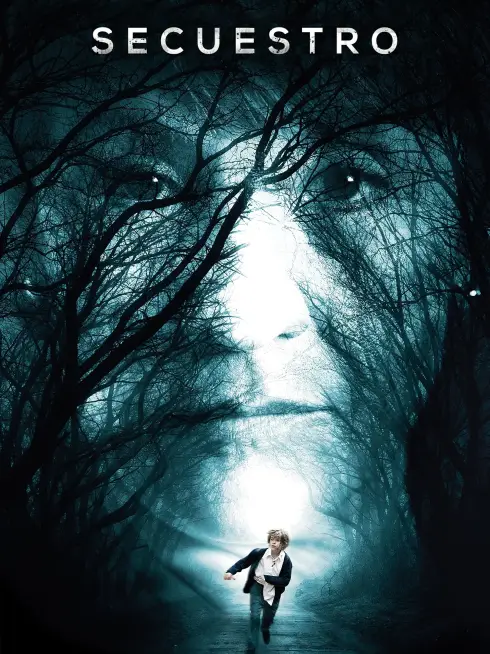 Phim Cậu Bé Mất Tích - Boy Missing (2016)