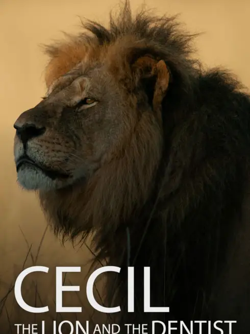 Cecil