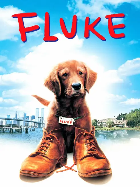 Chú Chó Fluke
