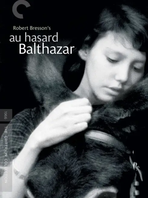 Phim Chú Lừa Balthazar - Au hasard Balthazar (1966)