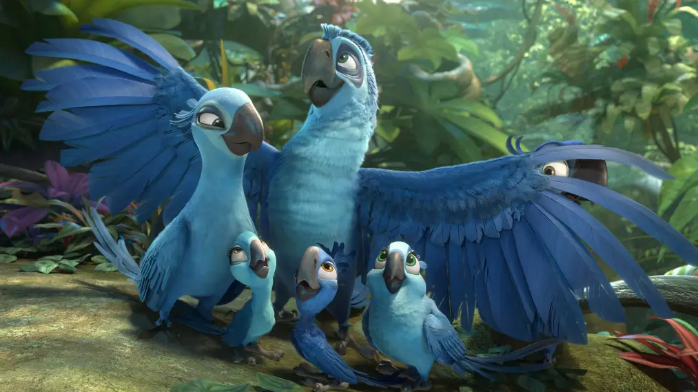 Chú Vẹt Rio