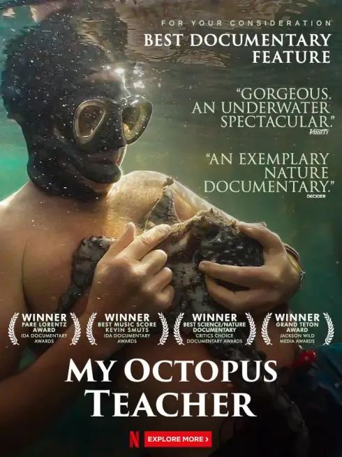 Phim Cô giáo bạch tuộc - My Octopus Teacher (2020)