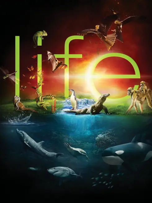 Phim Cuộc Sống Hoang Dã - BBC: Life (2009)