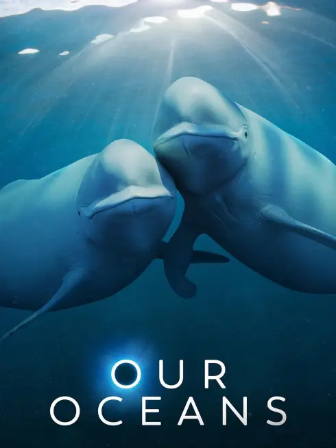 Phim Đại dương của chúng ta - Our Oceans (2024)