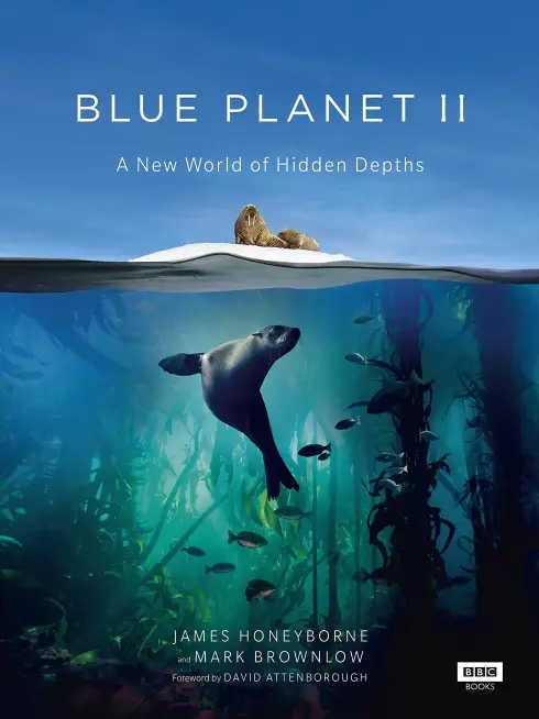Phim Đại Dương Sâu Thẳm 2 - The Blue Planet 2 (2017)