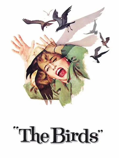 Phim Đàn Chim Dữ - The Birds (1963)