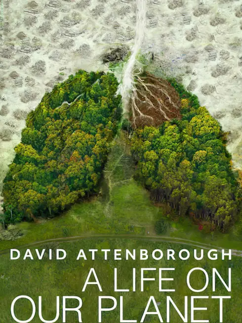 David Attenborough: Một cuộc đời trên Trái Đất