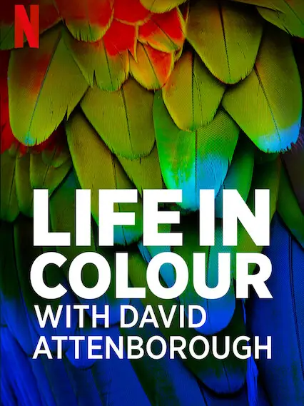Phim David Attenborough: Sự sống đầy màu sắc - Life in Colour with David Attenborough (2021)