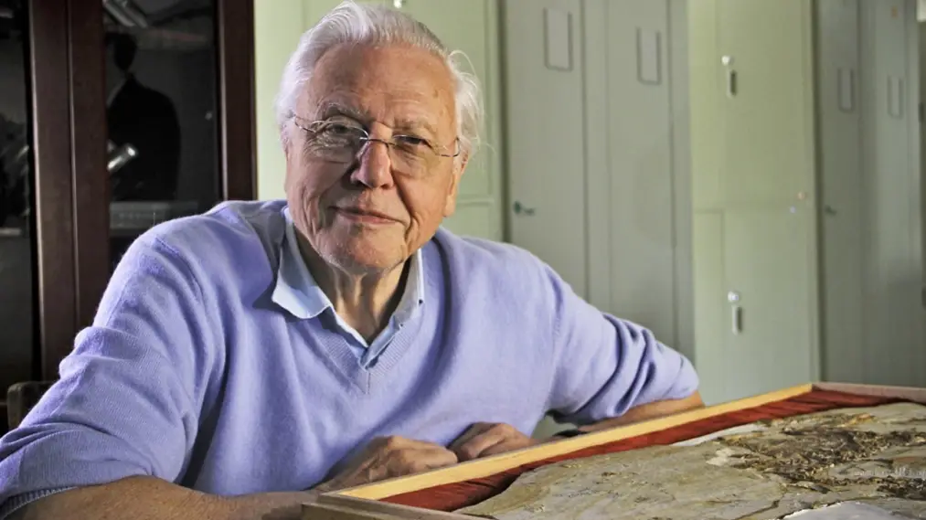 Phim David Attenborough's Rise of Animals: Triumph of the Vertebrates - David Attenborough's Rise of Animals: Triumph of the Vertebrates (2013)
