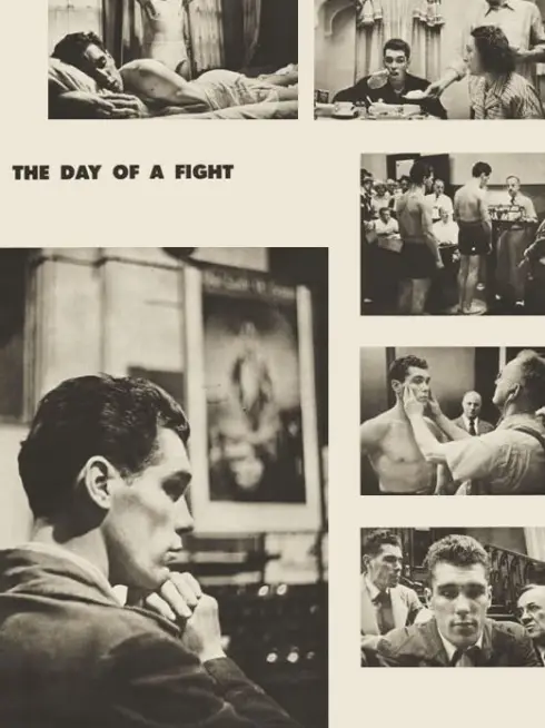 Day of the Fight