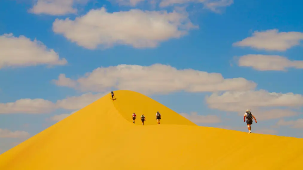 Phim Desert Runners - Desert Runners (2013)