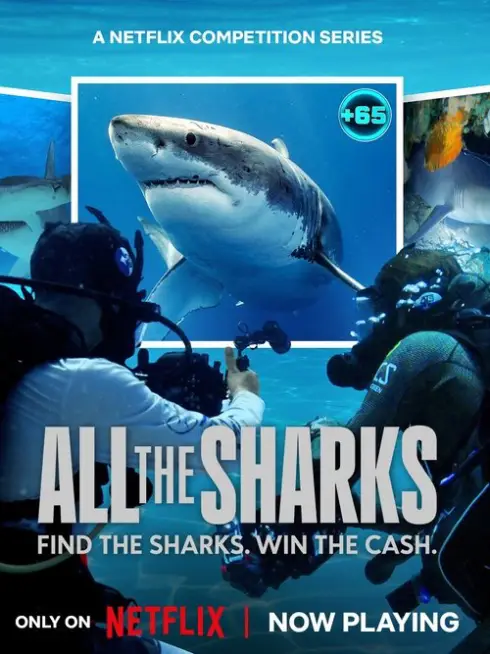 Phim Đi tìm cá mập - All the Sharks (2025)