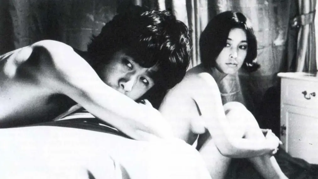 Phim Diary of a Shinjuku Thief - 新宿泥棒日記 (1969)