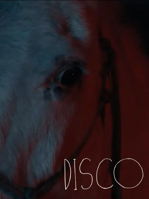  Disco (2026)