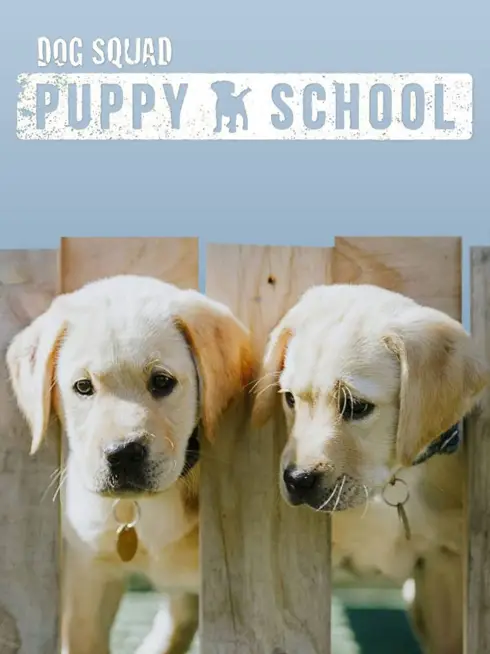  Dog Squad Puppy School (2020)