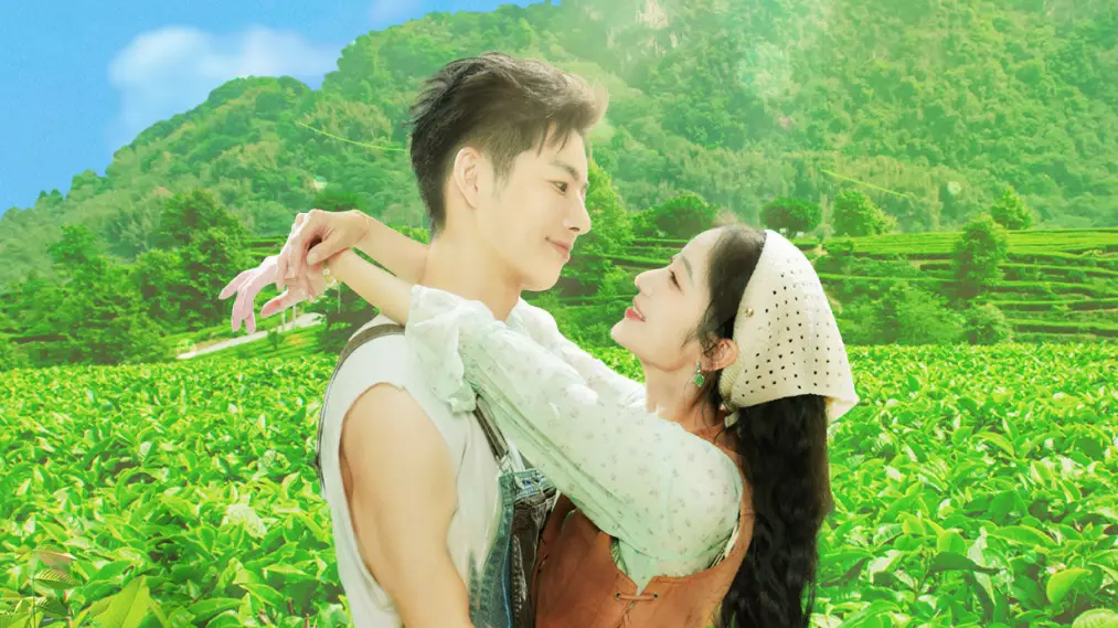 Đồi Trà Tình Yêu