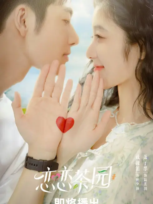 Đồi Trà Tình Yêu