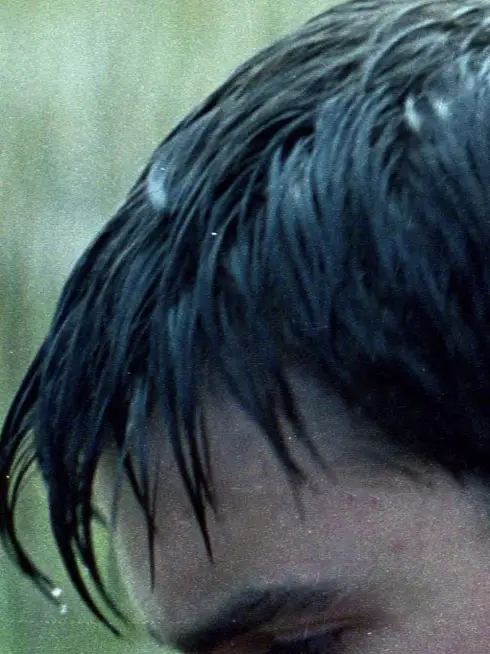  Echo (2008)