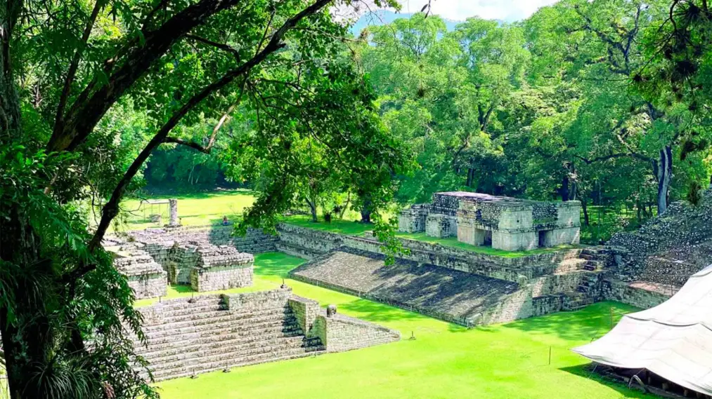 Phim Fall Of The Maya Kings - Fall Of The Maya Kings (2022)