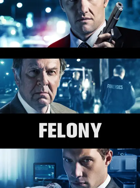 Phim Felony - Felony (2013)